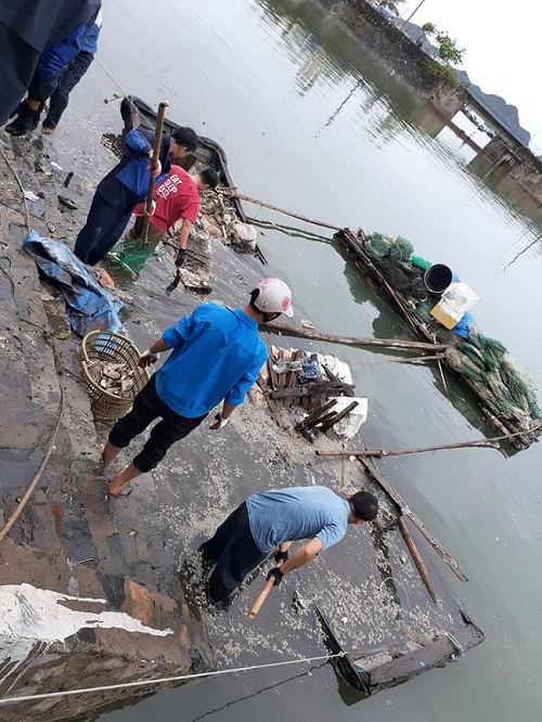 Giữ vững thương hiệu: Lan Hạ -  vịnh đẹp nhất thế giới