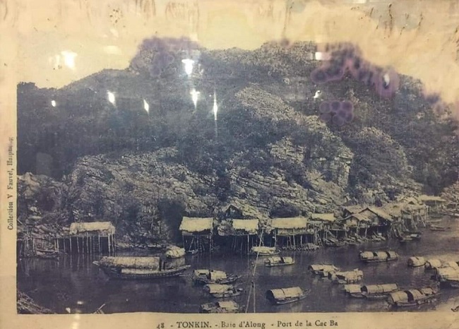 Tùng Dinh, Cát Bà xưa