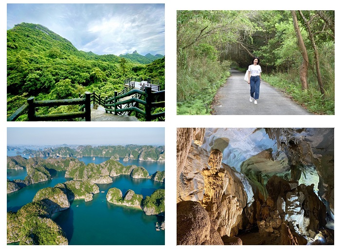 Những điều thú vị khi đến Cát Bà