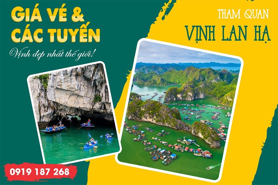 Phí tham quan, nghỉ đêm vịnh Lan Hạ