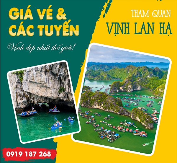 Giá đi vịnh Lan Hạ