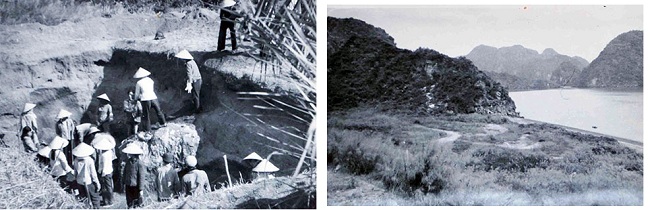 Cư dân Soi Nhụ vịnh Lan Hạ