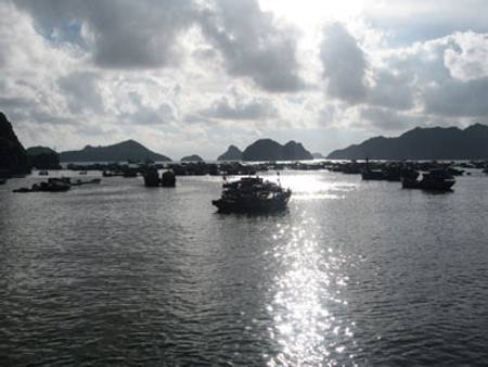 vịnh Lan Hạ cổ xưa